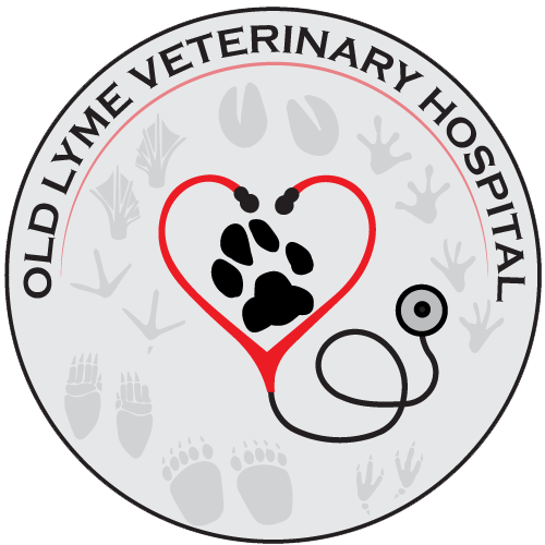 Old Lyme Veterinary Hospital Logo
