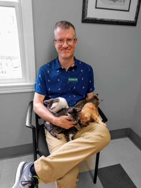 Dr. Neil with several cats