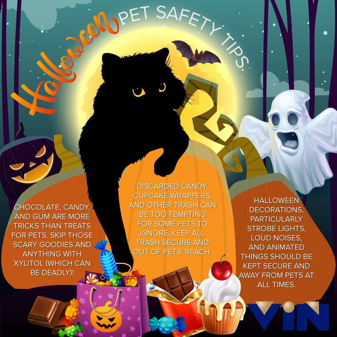 Halloween Safety Infographic