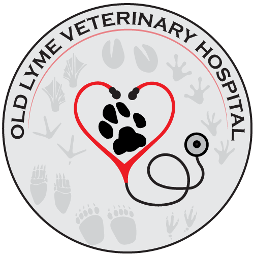 Old Lyme Veterinary Hospital Logo