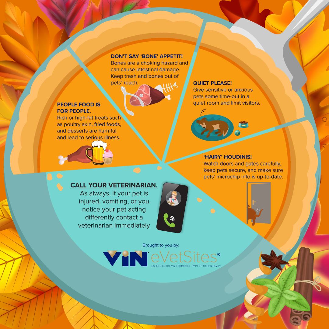 Thanksgiving Safety Infographic